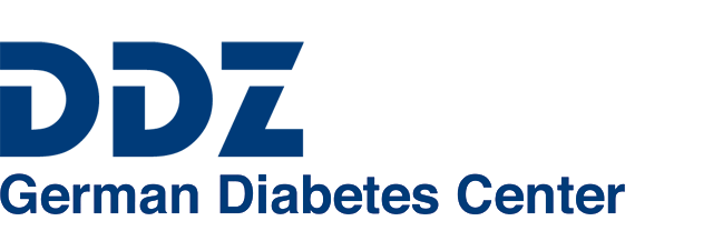 DDZ Logo